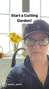 There are lots of reasons why your lilac may not be blooming: -Not enough  sunlight -Your plant is too young. Many don't flower until year three or  four. -Usual culprit: someone has