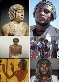 A Study Of Hair Texture In Ancient Egypt Black History Education African History Black History