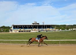 Ms Damania Girl - Irresistible Charm