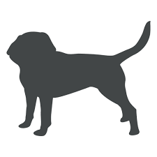 Dog Puppy Silhouette Posing Ad Paid Ad Puppy Silhouette Posing Dog Dog Silhouette Wild Dogs Pet Dogs