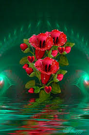 Share the best gifs now >>> Red Flowers Beautiful Gif Flowers Gif Beautiful Roses