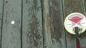 Its a jetco mustang treasure finder metal detector. Quick Overview Of The Jetco Mustang Treasure Finder Youtube