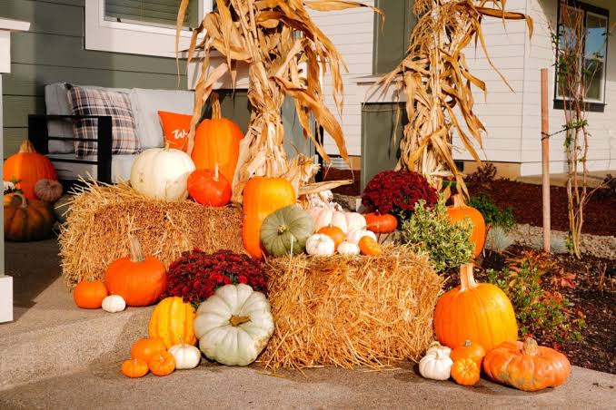 How to Create a Cozy Pumpkin Harvest Porch for Thanksgiving - Autumn  Harvest Pumpkins