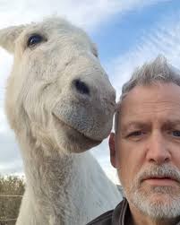 Want a personalised message from your favourite donkeys (and Julian)? 🤩 If  you're looking for that last minute gift for an animal-loving friend, or  maybe you want to treat yourself, then look