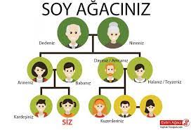 Soy Agaclari Ve Evrim Agaclari Evrimi Anlamanin Ve Anlatmanin En Kolay Yolu Evrim Agaci