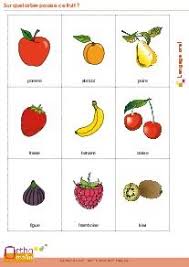 Epingle Sur Vocabulaire