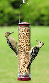 Keep your feeder looking fresh with our new hummingbird feeder flower replacement ports shop now ». 24 Peanut Bird Feeders Ideas Peanut Bird Feeder Peanuts For Birds Bird Feeders