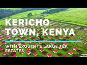 Kericho Town, Kenya. The Beautiful Town With Exquisite Large Tea ...