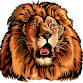 Bennett Varsity Football @ Queen Anne's County