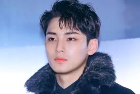 Find and save images from the seventeen mingyu collection by sid ♡ *:･ﾟ✧ (tbhtaehyung) on we heart it, your everyday app to get lost in what you love. Seventeen Mingyu Ex Schoolmate Defends The Idol From School Bullying Allegation Reveals His True Personality Kpopstarz