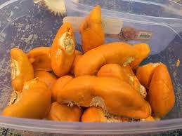 Makanya deh penggemarnya banyak berjamur di seantero negeri, termasuk di malaysia juga, guys. Paku Midin 11 Buah Tempatan Sarawak Yang Harus Anda Kenali