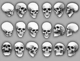 Markquestion Skull References You Probably Know Why Emotions Seem Easy To Portray By Using Angles Skull Reference Skulls Drawing Skull Art