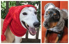 Knit flat on straight needles. Knit Christmas Dog Hat Free Knitting Patterns Knitting Pattern