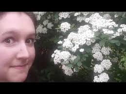 Get Outside with Ecologist Eileen Reeves!