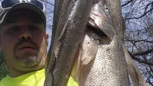 Fisherman has used the same honey hole for over 20 years