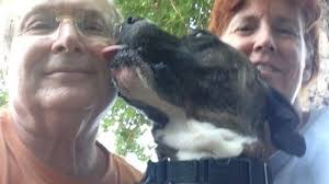 Fundraiser for Lynne Lerner by TFPF Admin : In Loving Memory of Larry Lerner