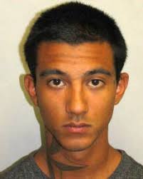 Hilo robbery 09-30-13