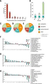 Check spelling or type a new query. Stable Isotope Metabolic Labeling Based Quantitative Phosphoproteomic Analysis Of Arabidopsis Mutants Reveals Ethylene Regulated Time Dependent Phosphoproteins And Putative Substrates Of Constitutive Triple Response 1 Kinase Molecular Cellular