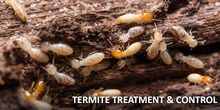 Every service begins with a thorough inspection of your home & property. Termite Control Tri County Pest Control Belden Ms