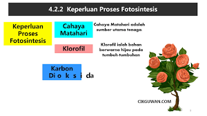 Fotosintesis merupakan suatu proses biokimia anabolisme iaitu pembentukan zat makanan atau tenaga yang dilakukan oleh tumbuh tumbuhan dengan menggunakan krofil , karbon dioksida dan air serta bantuan tenaga cahaya matahari. Nota Sains Tahun 4 Topik Tumbuhan Kssr Semakan
