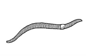 Pin On Draw For Kids