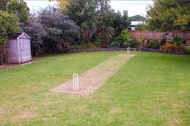 Backyard Cricket Anyone Backyard Outdoor Gardens Cottage Garden
