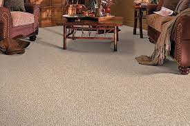Certain elements are only specific to the best vacuum for berber carpet, and that is what you should be looking for if you have a berber carpet at home. Pattern Loop Carpet