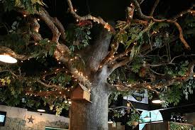 Palace inn houston northwest 290. The Tree Picture Of The Backyard Grill Houston Tripadvisor