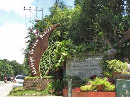 Guests may enjoy the breathtaking scenery of malagos greeneries as they get to know our albino carabao, bianca, which is one of the rarest species in the philippines. Malagos Garden Resort Davao City If You Love Nature And Animals This Is A Must Go Place For You Davao City Places To Go Resort
