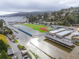 Image result for Larkspur 1986 Colne Valley Water Company