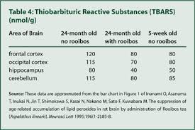 Herbalgram Rooibos Tea Research Into Antioxidant And