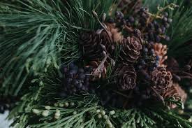 3 x 2 1/2 see the last photo for the latest batch of pine… Evergreens And Pine Cones Winter Floral Nicole And Derek
