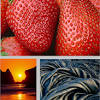 Print a simple color or black and white test page for brands like canon, epson, hp, samsung and more. 1