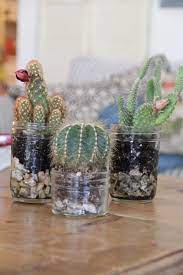 It also analyzes reviews to verify. Cute Cacti In Mason Jars Cactus Crafts Mason Jars
