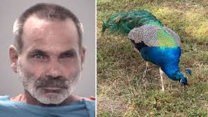 Court Sides with Minor in Parental Consent Case