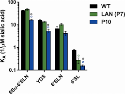 The transformation makes the room unrecognizable! Laninamivir Interferon Lambda 1 Combination Treatment Promotes Resistance By Influenza A Virus More Rapidly Than Laninamivir Alone Antimicrobial Agents And Chemotherapy