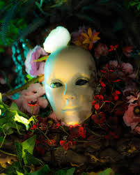 Gavin Maus's Instagram, Twitter & Facebook