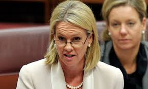 Fiona Nash under pressure over claims she misled Senate
