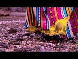 Quraysha borame official video copyright video and audio©2018 dailymusik. Quraysha Boorama Inanyohow Rucliyo Orod Youtube