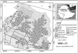 Image result for Erythrococca trichogyne