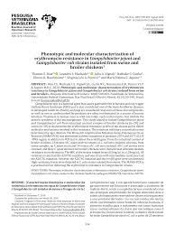 Virginia demorata, natalia roig, juanma lara y. Https Www Scielo Br J Pvb A Kbqnbbpvnywx4nxcqdjdmvd Lang En Format Pdf