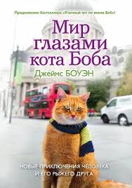 доктор данилов в роддоме или мужикам тут не место Mir Glazami Kota Boba Novye Priklyucheniya Cheloveka I Ego Ryzhego Druga S Izobrazheniyami Novye Priklyucheniya Knigi Priklyuchenie