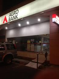 Class 11 accounts cbse comprehensive project accounting. Agro Bank