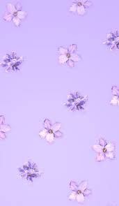 See the handpicked tumblr backgrounds purple images and share with your frends and social sites. Pastel Purple Background Explore Tumblr Posts And Blogs Tumgir