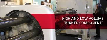 Image result for Selago dinteri