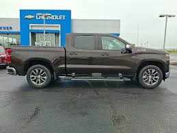 Image result for Medium Brown 2020 Fleet