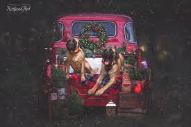 Profile for KrzyzakRed Photo's