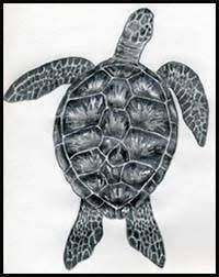 A step by step tutorial step 1. How To Draw Cartoon Turtles And Tortoises Realistic Turtles And Tortoises Drawing Tutorials Drawing How To Draw Turtles And Tortoises Drawing Lessons Step By Step Techniques For Cartoons