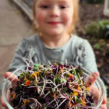 Mary Densmore (@bee_simple) • Instagram photos and videos