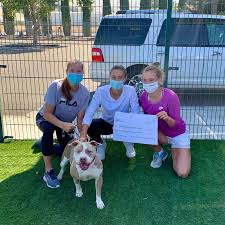 The organization provides adoptions, shelter, medicine programs, exemplary volunteer, progressive behavior, and training programs. Uvwacsnivojfjm